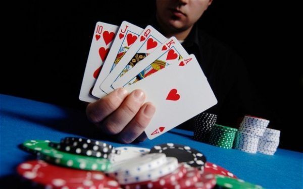 7 game کیسینو میں بکراٹکھیلیں